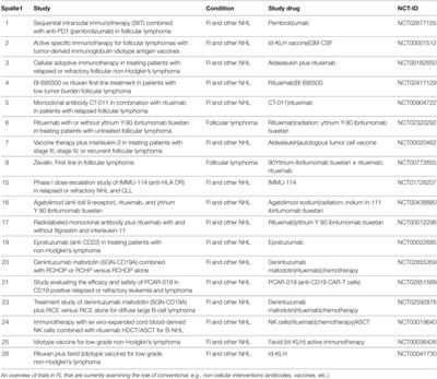 Cancer Immunotherapy and the Immune Response in Follicular Lymphoma